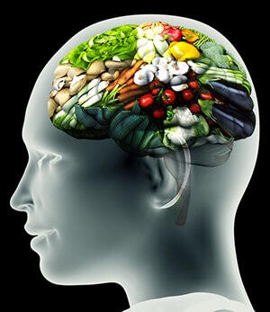 nutrition cerveau nutrition cerveau