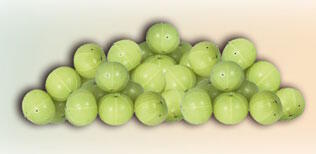 Amla fin